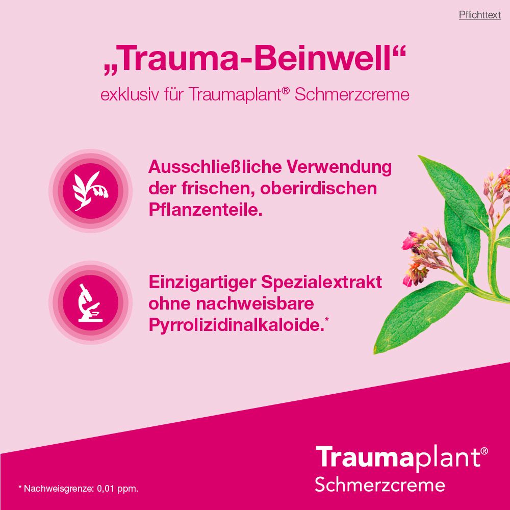 Traumaplant Schmerzcreme 100 g Creme