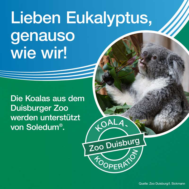 Soledum forte 100 St Kapseln magensaftresistent