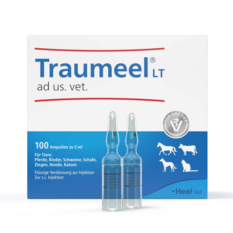 Traumeel LT ad us. vet. 100X5 ml Ampullen