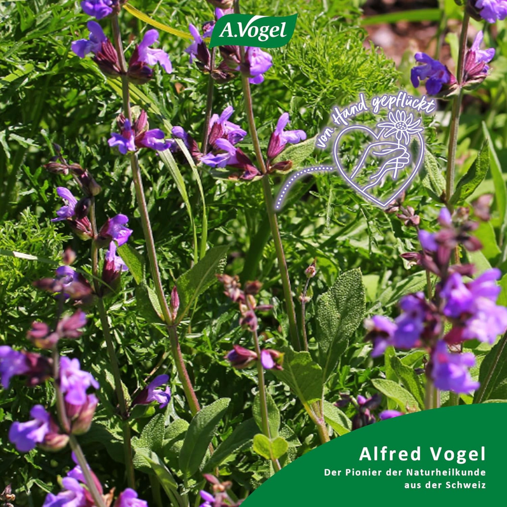 Menosan Salvia A. Vogel 30 St Tabletten