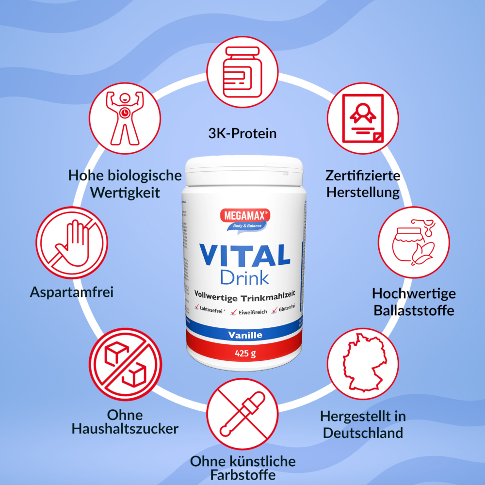 MEGAMAX VITAL-Drink Vanille 425 g Pulver
