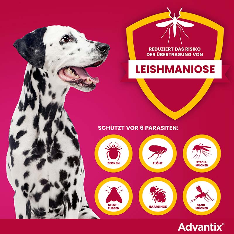 ADVANTIX SPOT-ON HUND 40-60KG 4X6.0 ml Lösung