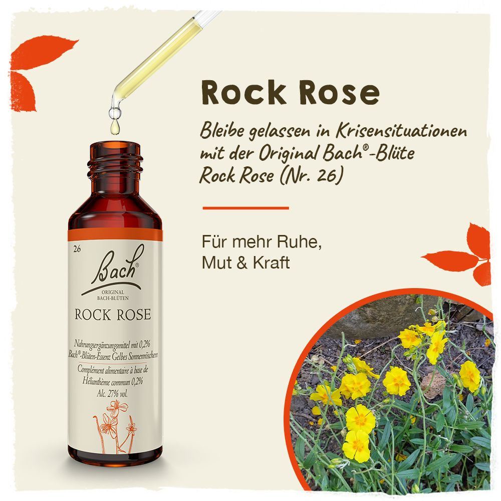 BACHBLÜTEN Original Rock Rose Nr. 26 20 ml Tropfen