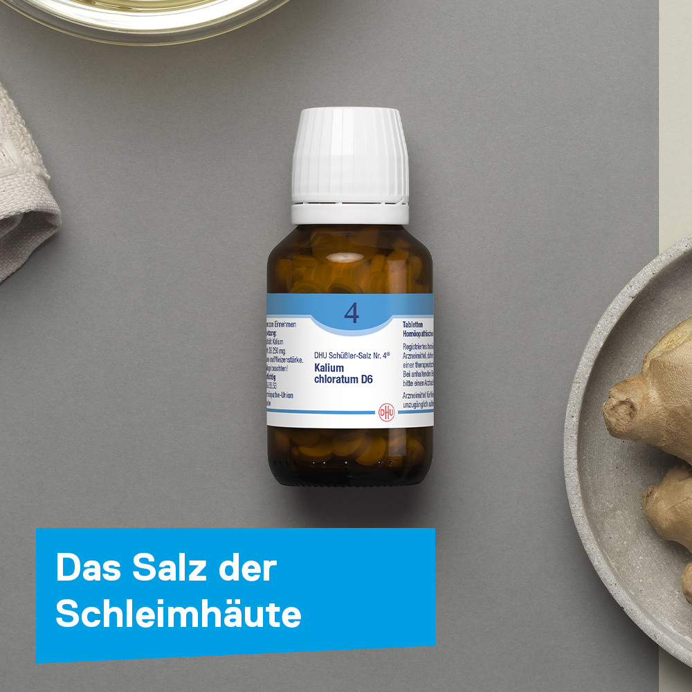 DHU Schüßler-Salz Nr. 4 Kalium chloratum D6  80 St Tabletten