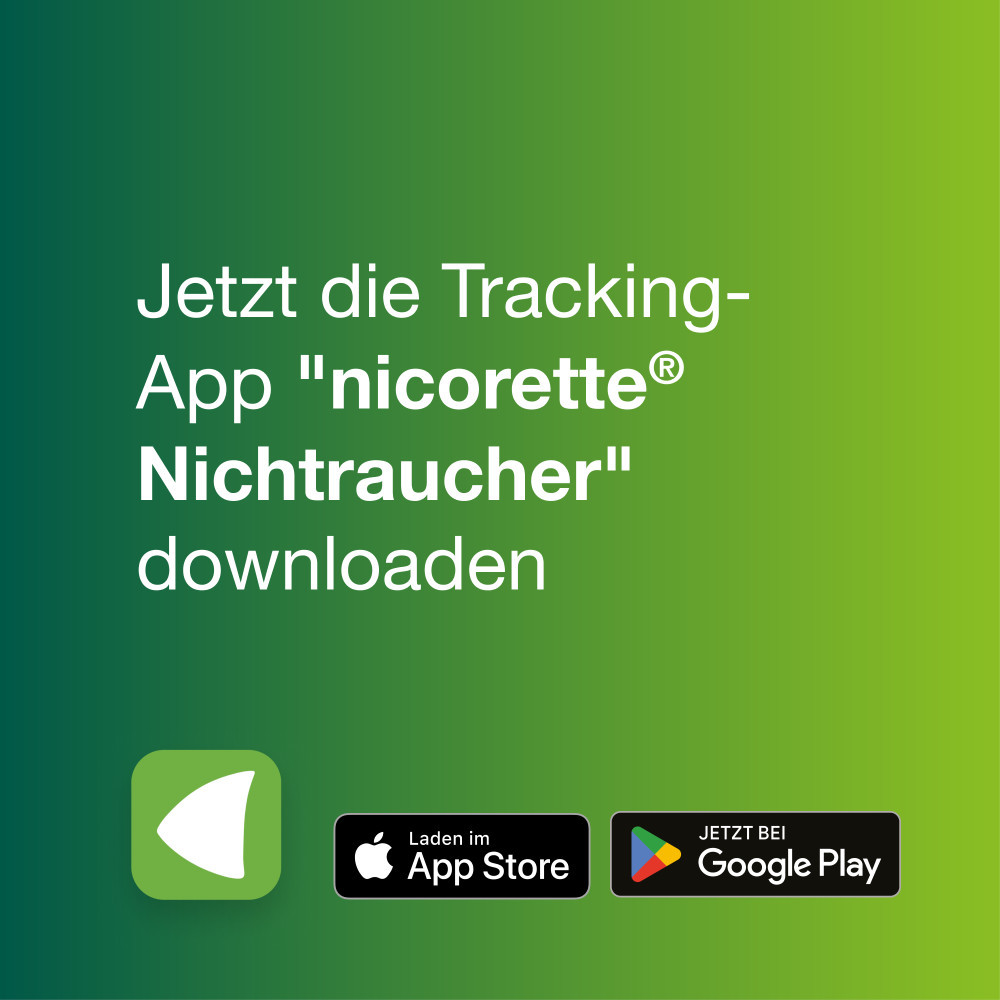 nicorette fruit & mint Spray 6er Set 3X2 St Spray