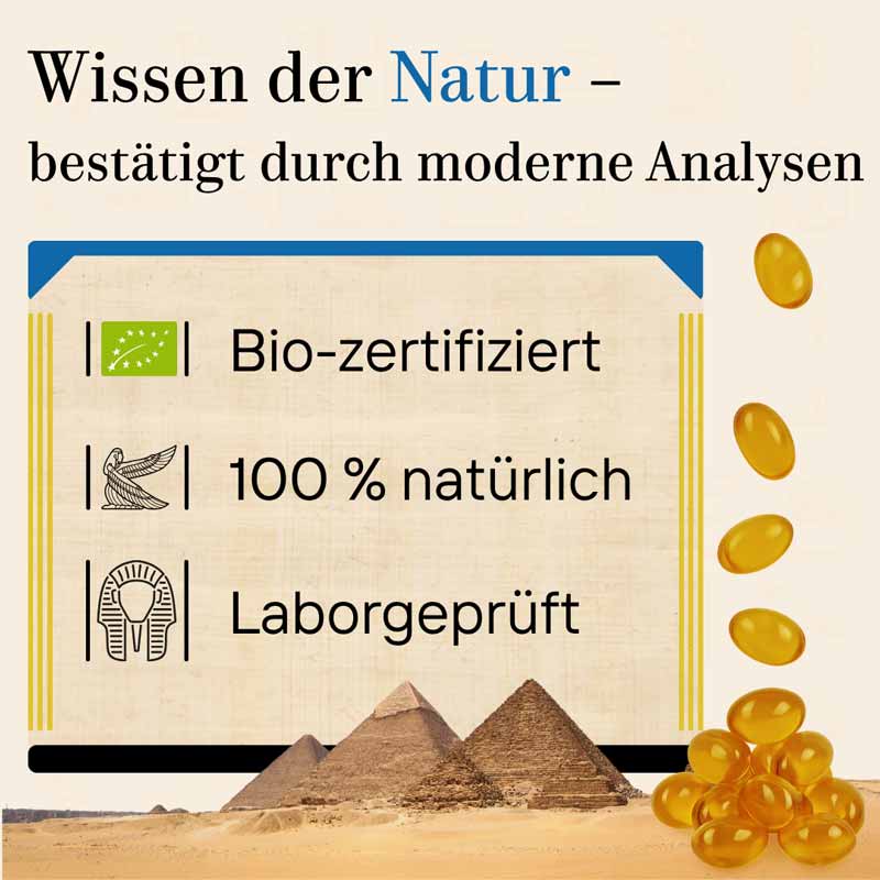 BIO-SCHWARZKÜMMELÖL PUR IN KAPSELN 120 St Kapseln