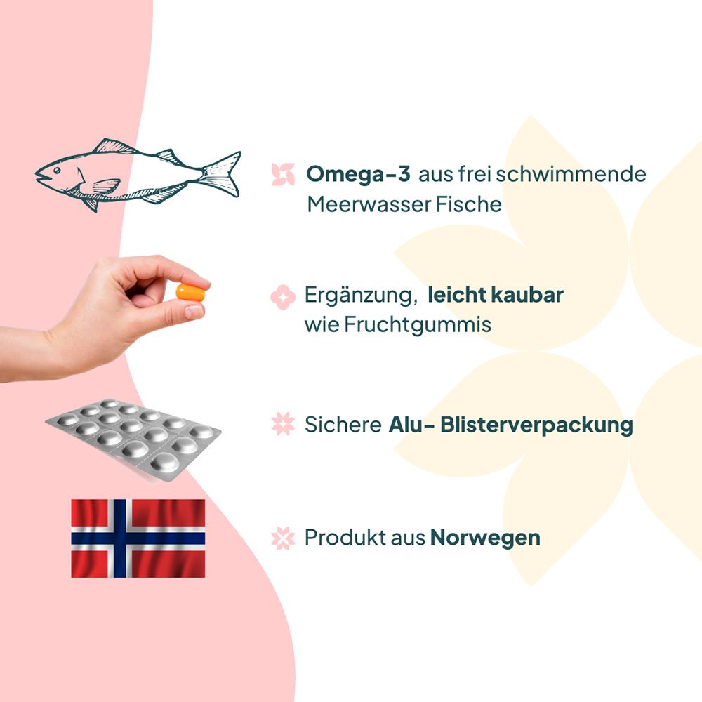 EasyFishoil Multi 30 St Kautabletten