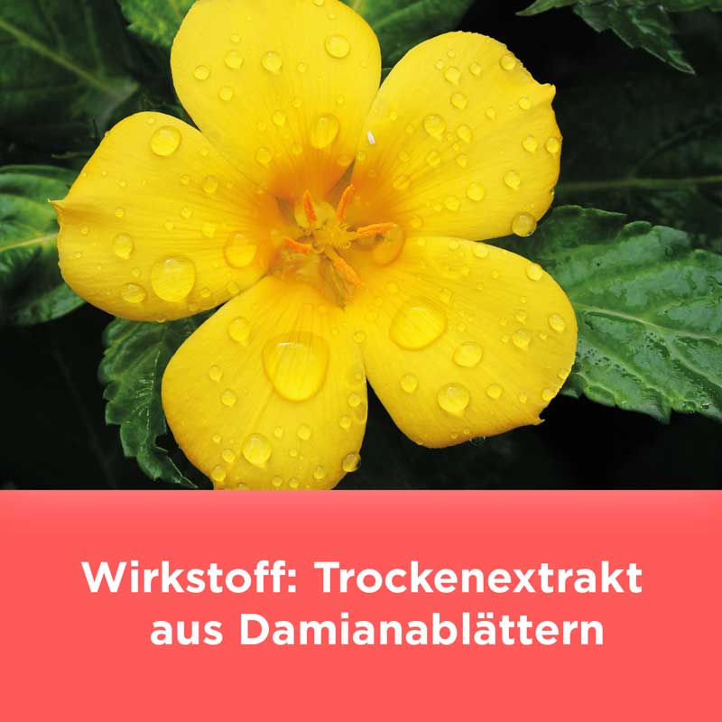 Remisens bei nachlassendem sexuellen Verlangen 180 St Filmtabletten