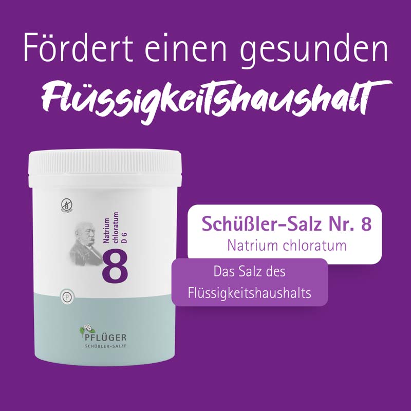 Schüßler-Salz Nr. 8 Natrium chloratum D6 1000 St Tabletten