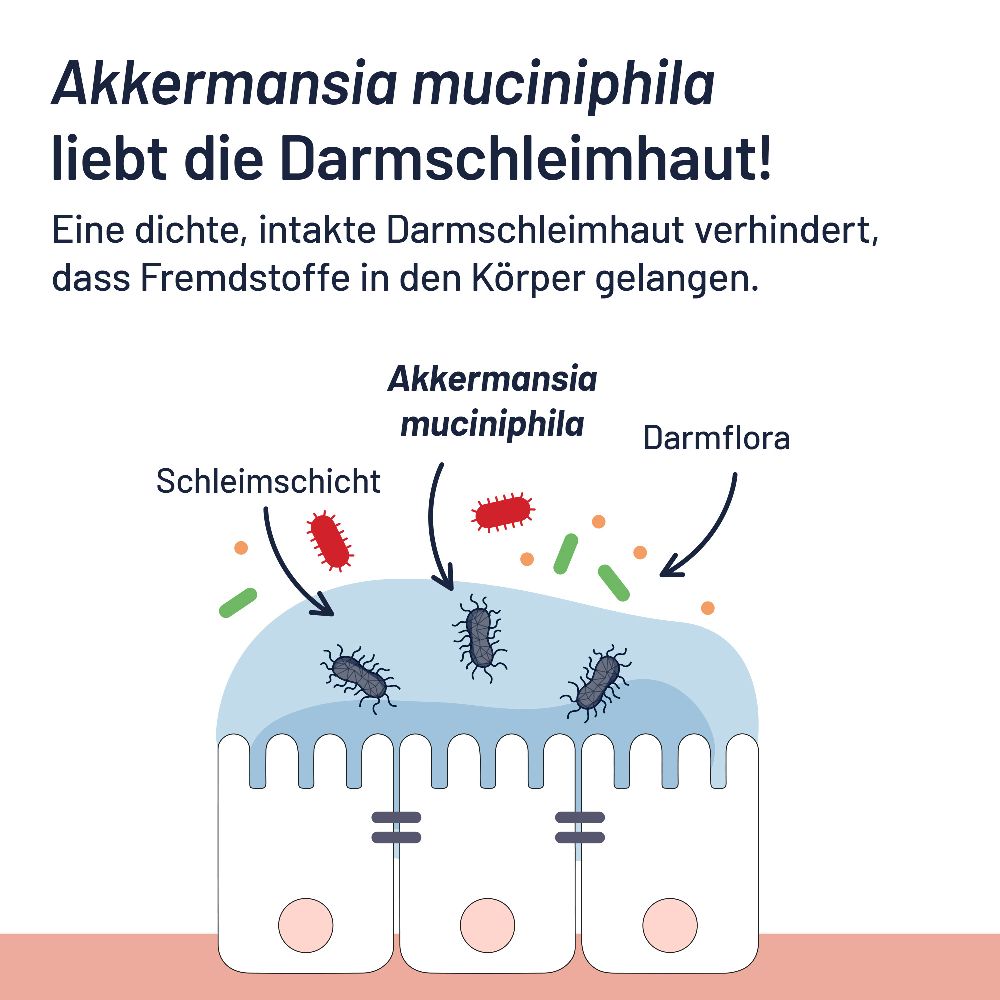 PROBIO-CULT AKK1 DARM MUKOSA PRO 30 St Tabletten