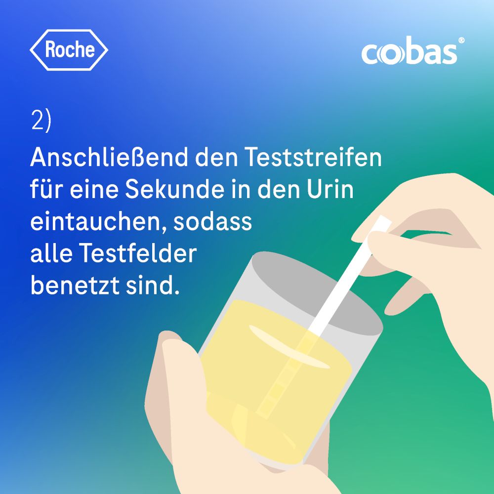 COMBUR 5 Test HC Teststreifen 10 St Teststreifen