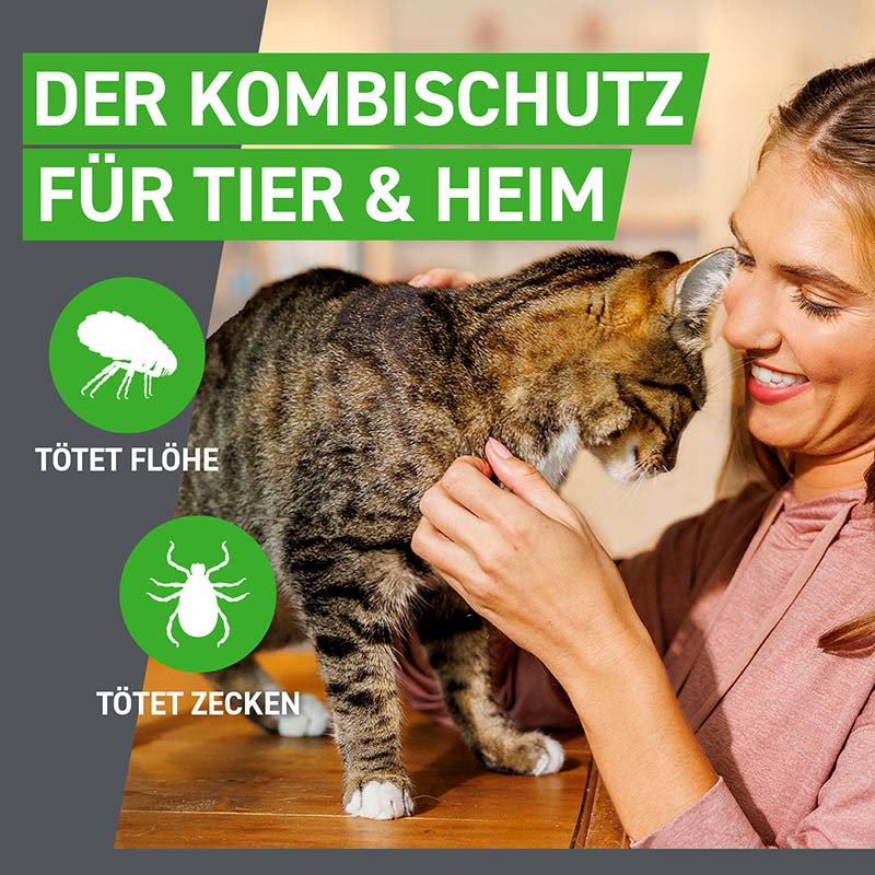 FRONTLINE COMBO KATZE 6 St. Kombischutz für Tier & Heim gegen Zecken, Flöhe & Haarlinge bei Katzen