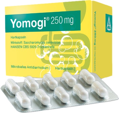 Yomogi 250mg 5 Billionen Zellen 10 St Hartkapseln