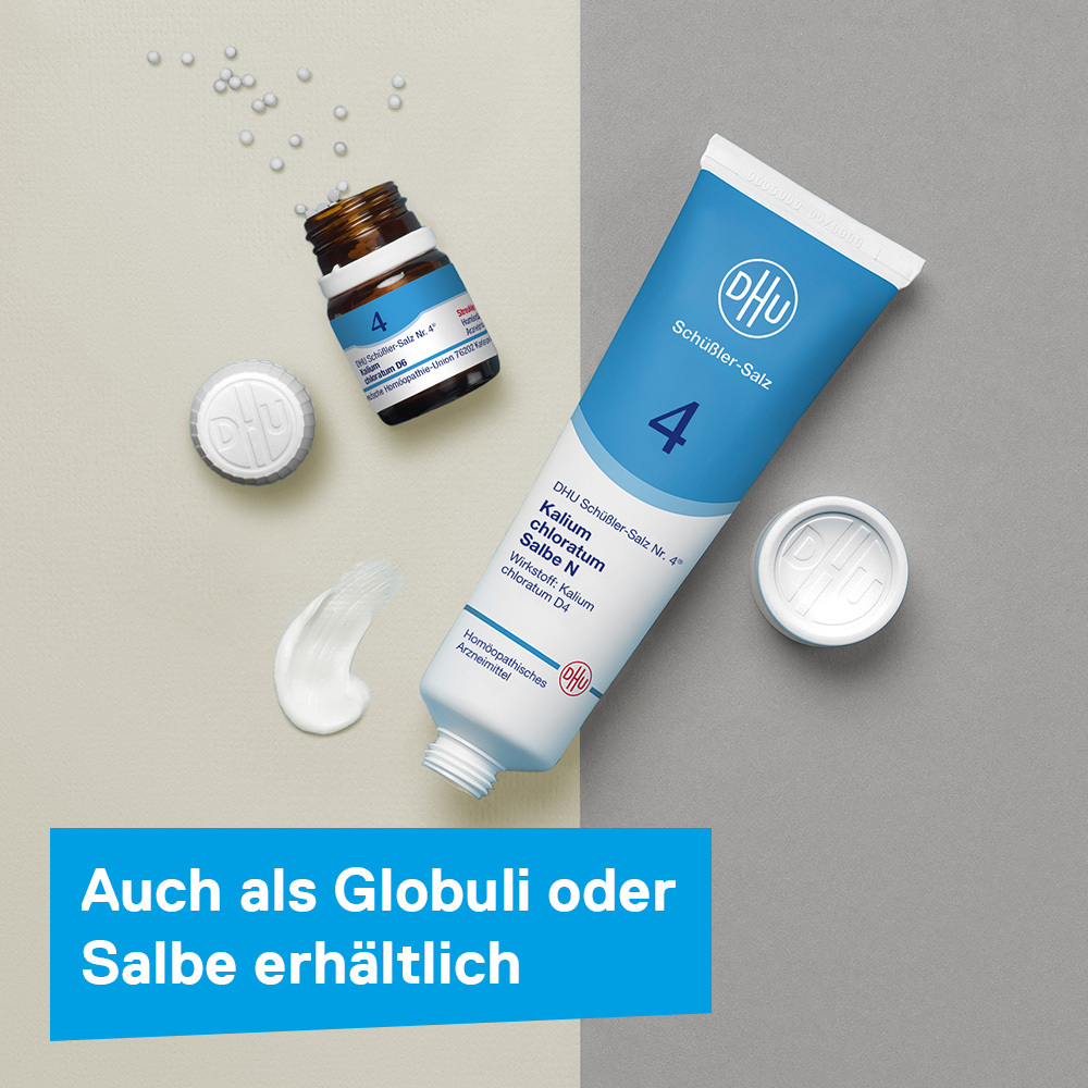 DHU Schüßler-Salz Nr. 4 Kalium chloratum D6  420 St Tabletten