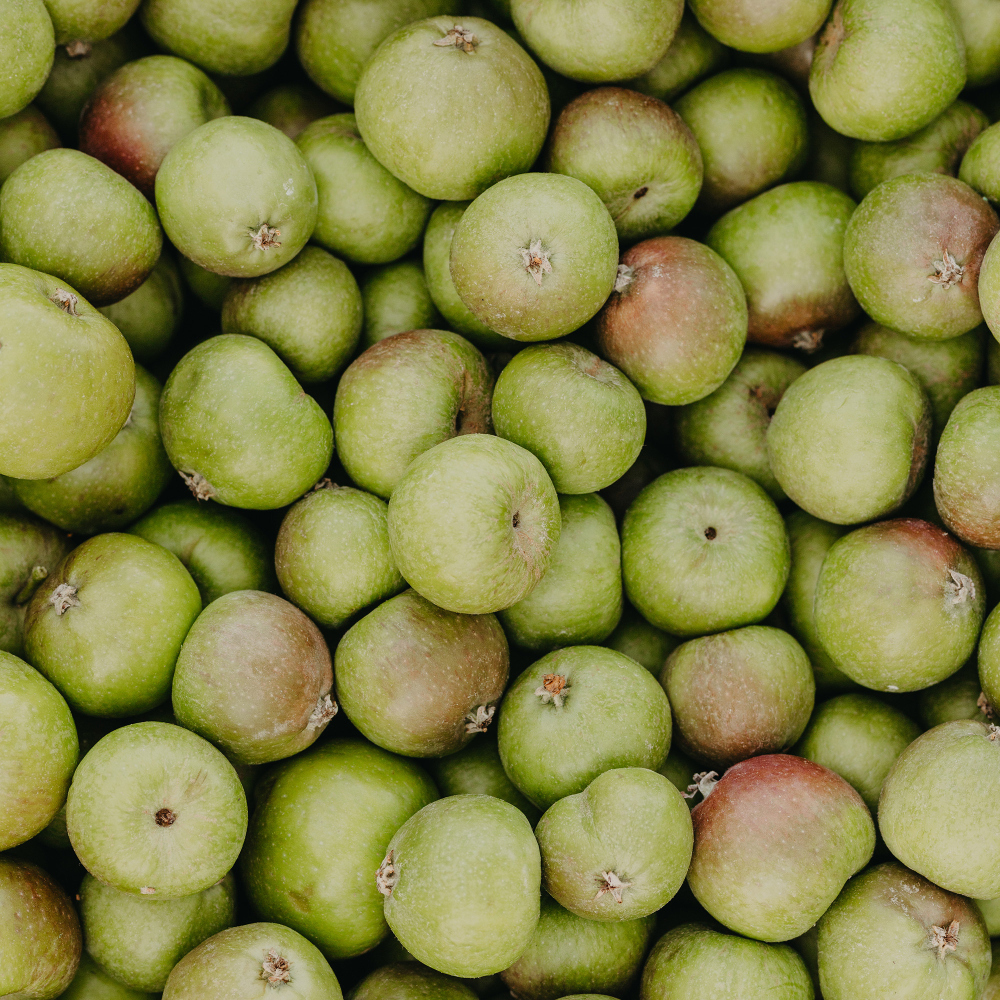 RAUSCH Anti-Pollution-Spray mit Schweizer Apfel 100 ml Spray