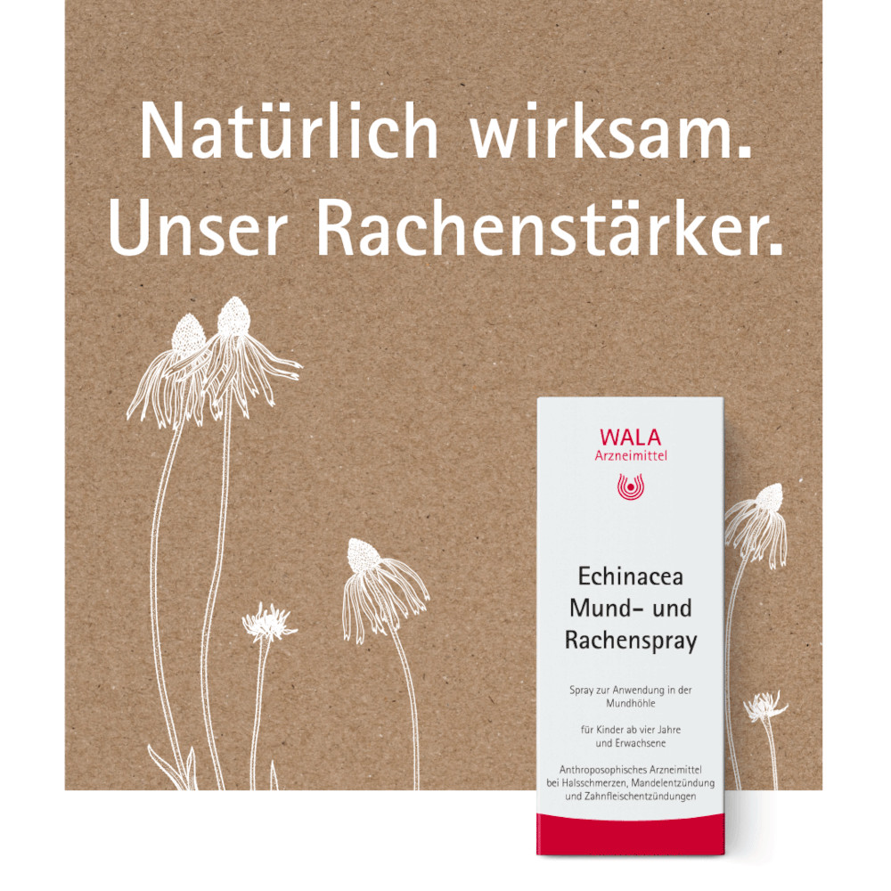 WALA Echinacea Mund- Und Rachenspray 50 ml Spray