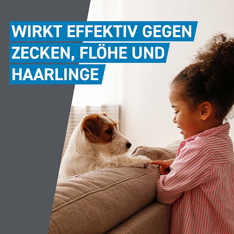 FRONTLINE SPOT-ON gegen Zecken, Flöhe und Haarlinge für Hunde M (10-20 kg) 3 St Lösung
