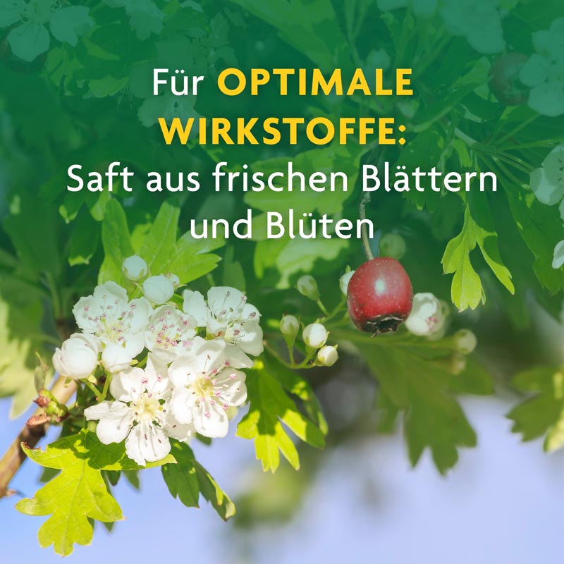 Schoenenberger Naturreiner Heilpflanzensaft Weißdorn 200 ml Flüssigkeit