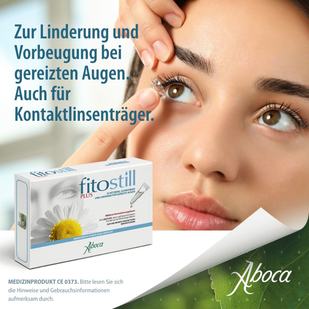 fitostill PLUS bei geröteten und überanstrengten Augen 10X0.5 ml Augentropfen