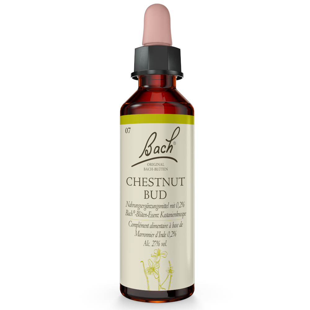 BACHBLÜTEN Original Chestnut Bud Nr.7 20 ml Tropfen