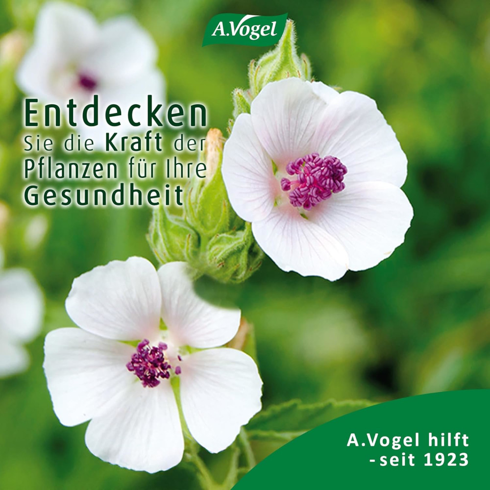 A.vogel Husten-spray Reizhusten 30 ml Spray