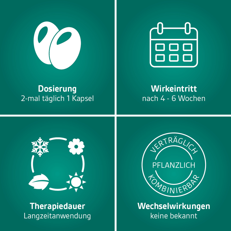 Prostagutt duo 160 mg/120 mg 60 St Weichkapseln