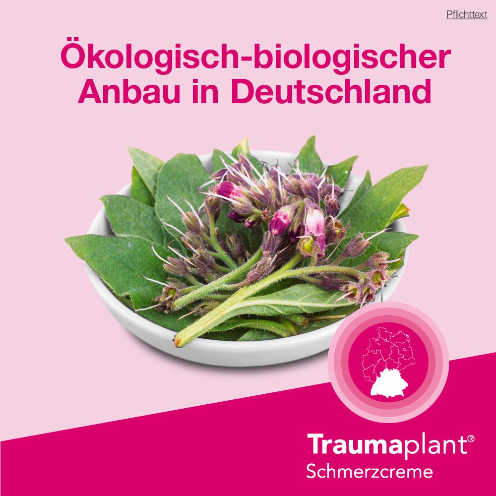 Traumaplant Schmerzcreme 100 g Creme