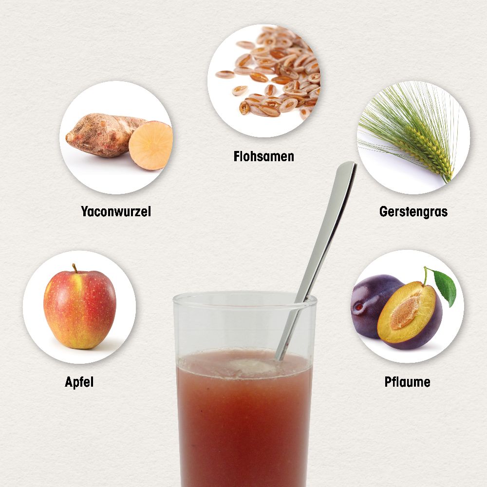 Dr. Böhm Darm aktiv Ballaststoff-Getränk 20X6.3 g Pulver