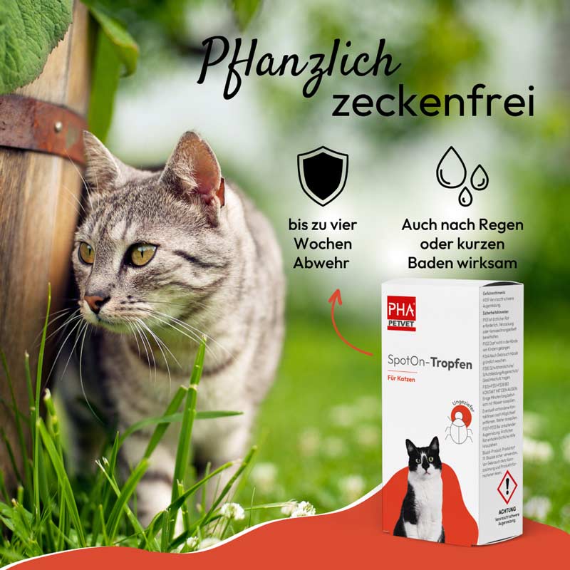 PHA Spot-on Tropfen für Katzen 2X1.5 ml Tropfen