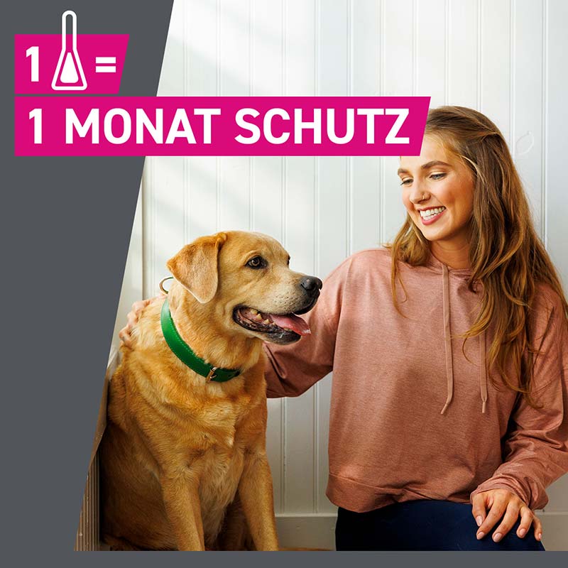 FRONTLINE TRI-ACT gegen Zecken, Flöhe und fliegende Insekten für Hunde XS (2-5 kg)  3 St Lösung