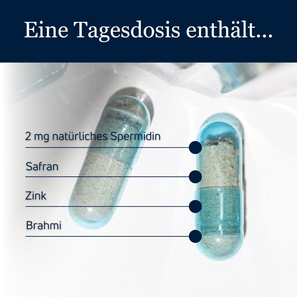 spermidineLIFE MEMORY+ 60 St Kapseln