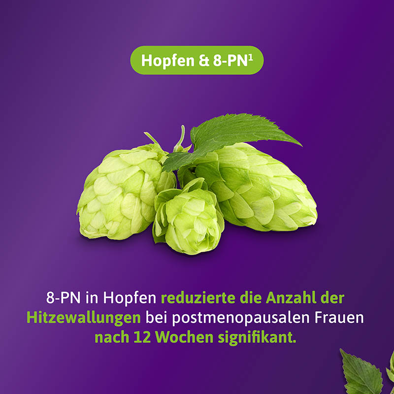 femibion menopause Hitzewallungen 90 St Tabletten
