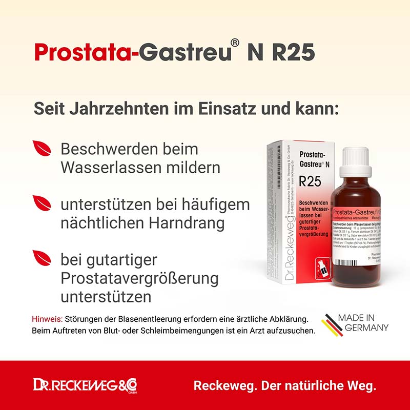 PROSTATA GASTREU N R 25 Tropfen zum Einnehmen 50 ml Mischung