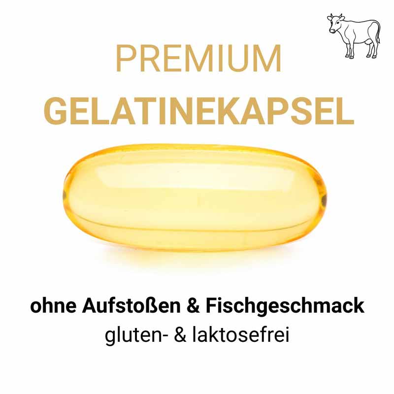 SwissOvit Omega-3 TG 600mg EPA & DHA 30 St Kapseln