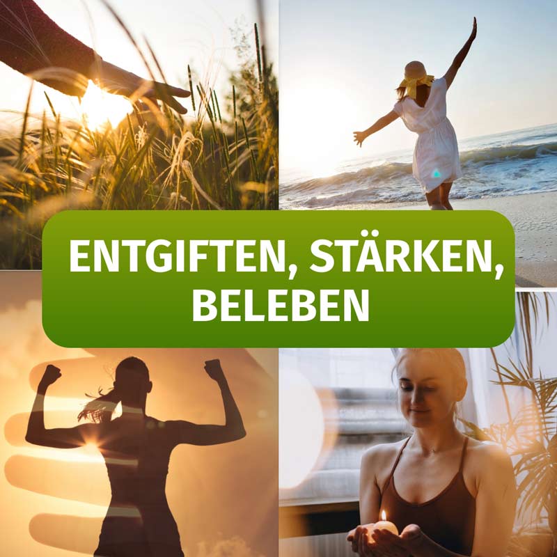 GREEN NATURALS CHLORELLA 240 St Kapseln