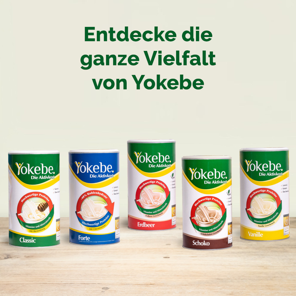 yokebe Vanille laktosefrei 500 g Pulver