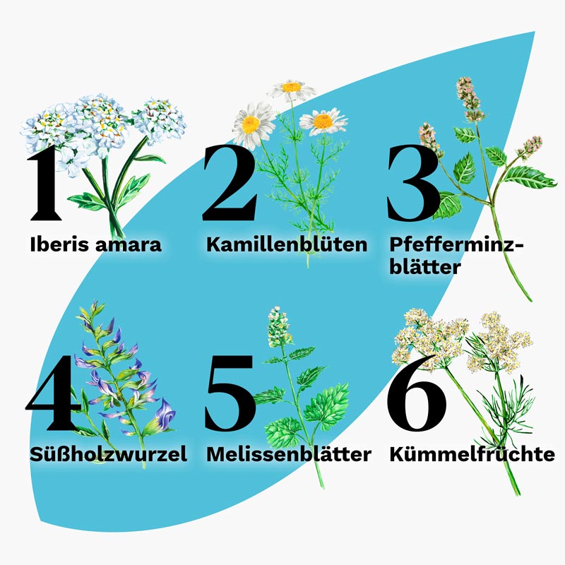Iberogast ADVANCE 100 ml Flüssigkeit zum Einnehmen