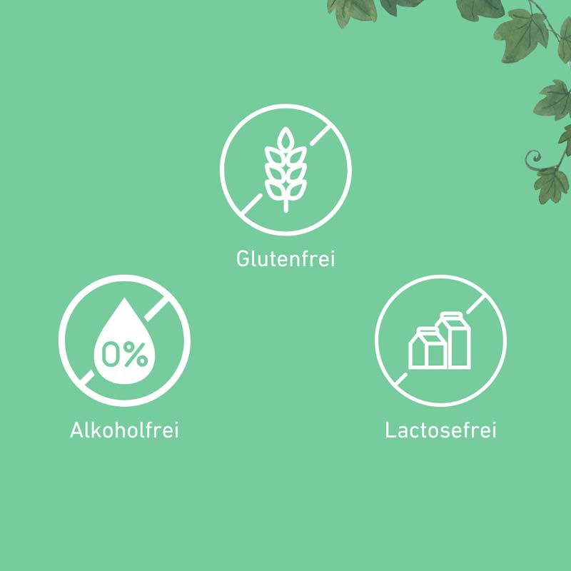 Hedelix Husten 20 St Brausetabletten