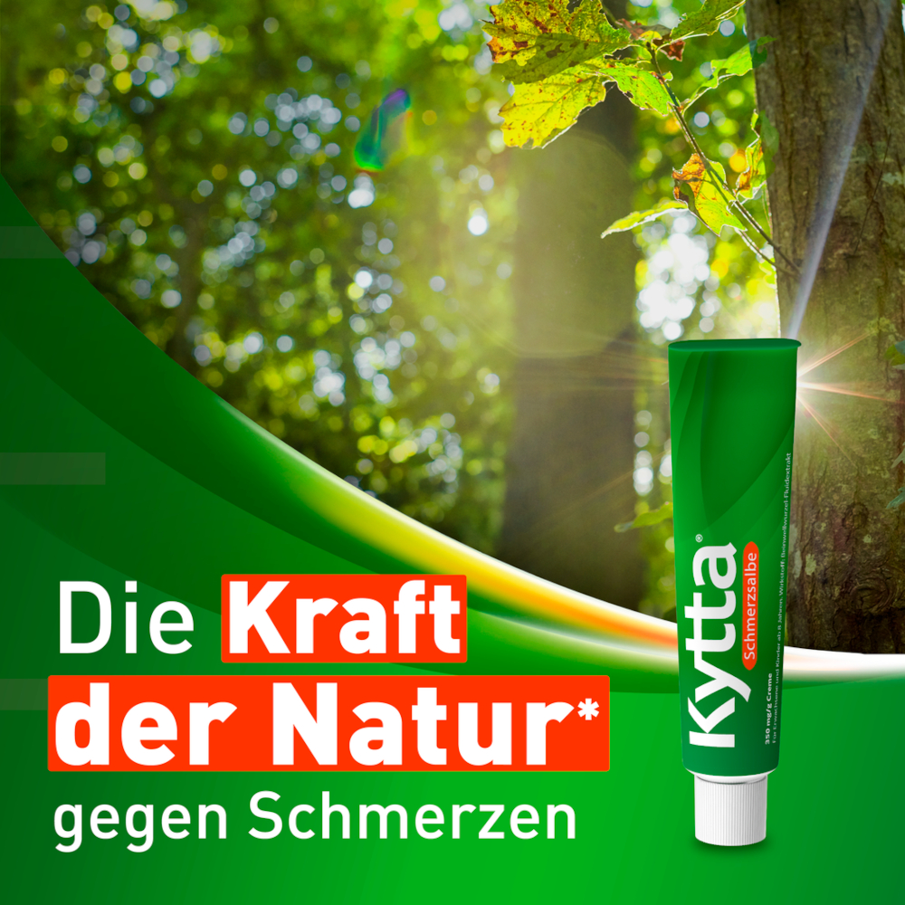 Kytta Schmerzsalbe Doppelpack 2X150 g Creme