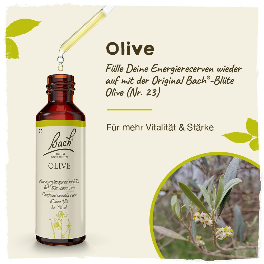 BACHBLÜTEN Original Olive Nr. 23 20 ml Tropfen