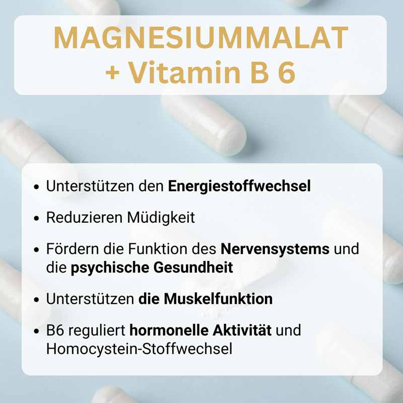 SwissOvit Magnesium Malat + Vitamin B6 30 St Kapseln
