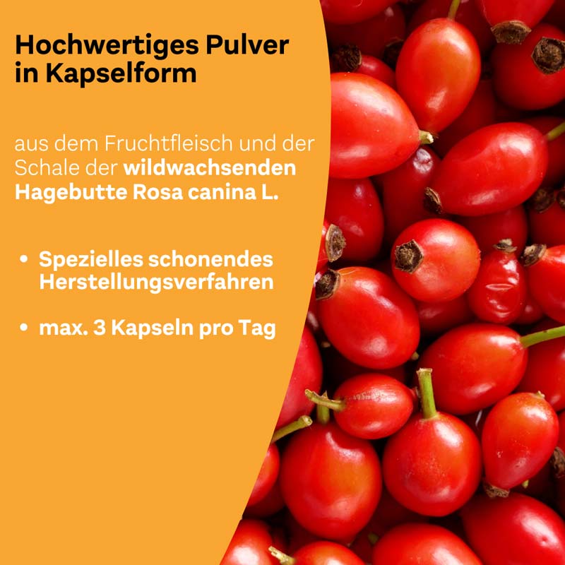 LITOZIN Ultra HAGEBUTTENPULVER MIT VITAMIN C  120 St Kapseln