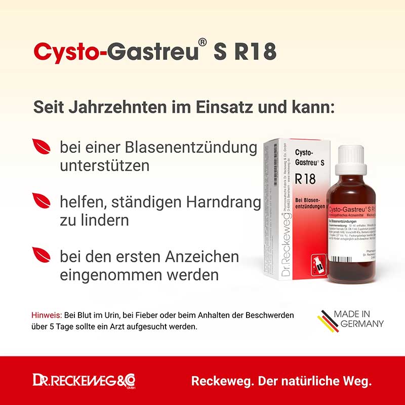 CYSTO GASTREU S R 18 Tropfen zum Einnehmen 22 ml Mischung