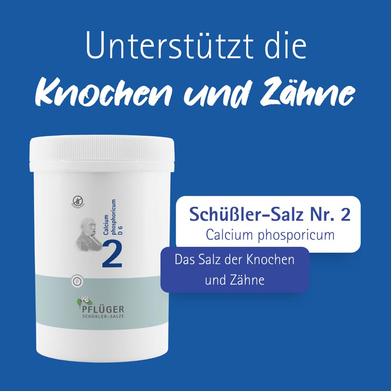 Schüßler-Salz Nr. 2 Calcium phosphoricum D6 4000 St Tabletten
