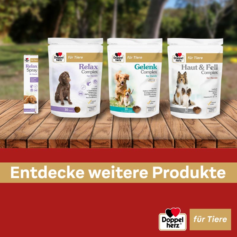 Doppelherz Haut & Fell Complex für Hunde 30 St Kautabletten