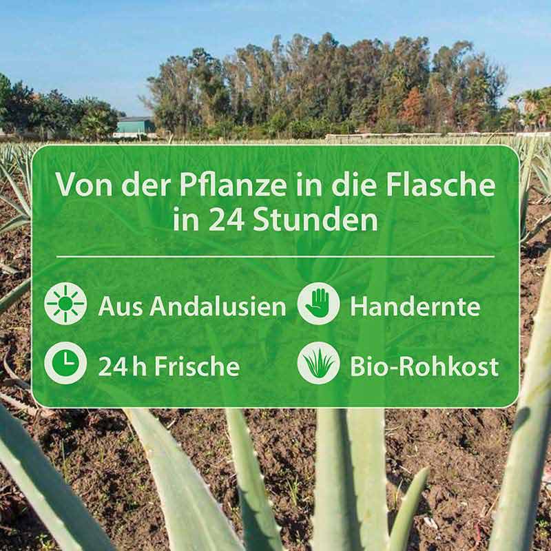 Dr. Jacob's Aloe Vera Gel Saft Bio Rohkost-Qualität Acerola