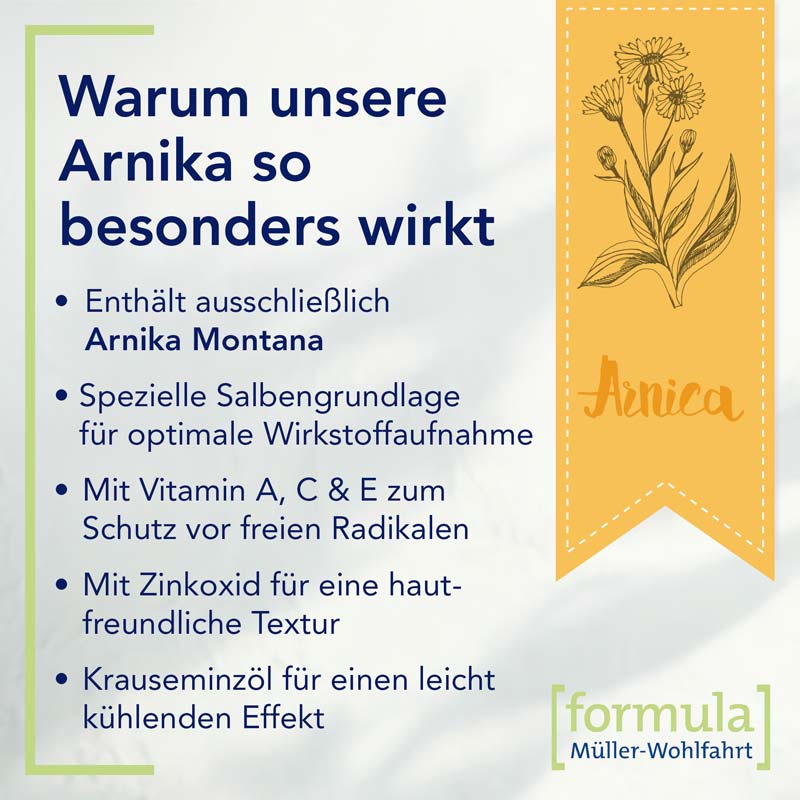 Profelan Salbe 100 g Creme
