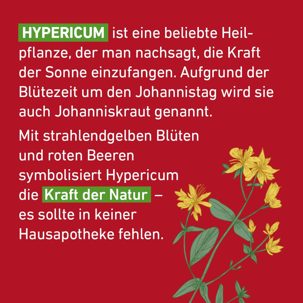 Hypericum C30 Globuli Pflüger 10 g Globuli