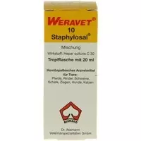 STAPHYLOSAL 10 Tropfen vet. 20 ml Tropfen