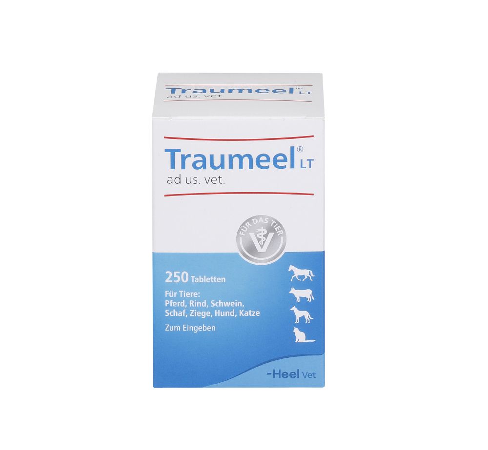 Traumeel LT ad us. vet. 250 St Tabletten